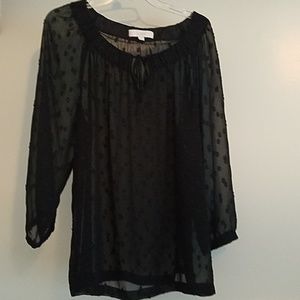 Loft Sheer black long sleeve blouse